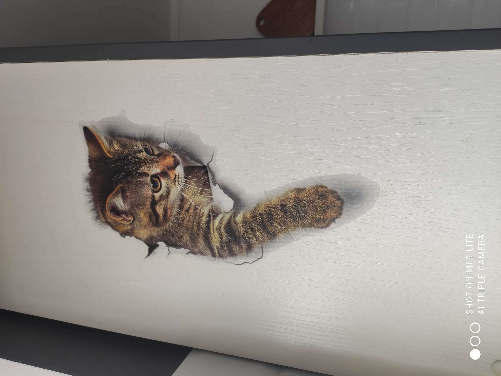 Фотография покупателя товара Интерьерная наклейка 3Д TAKE IT EASY «Кошка шотландская», на стену, 25×23 см, влагостойкая, ПВХ - Фото 25