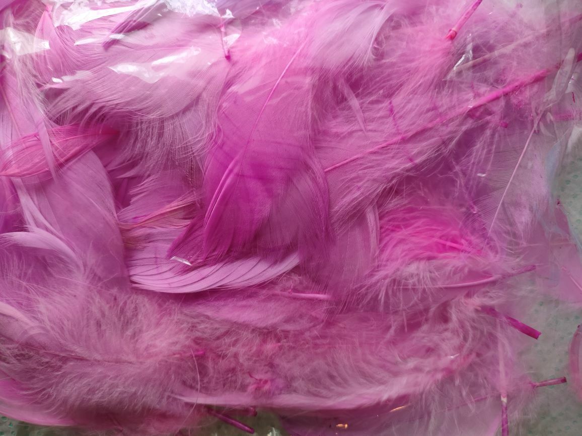 Фотография покупателя товара Наполнитель из перьев для шаров и подарков, светло-фиолетовый, 10-12 см 8 г - Фото 4