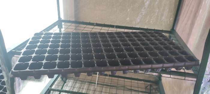 Фотография покупателя товара Кассета для рассады Greengo на 105 ячеек, по 20 мл, из пластика, чёрная, 55 × 29.5 × 3 см