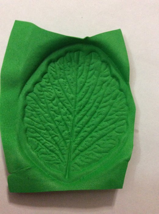 Фотография покупателя товара Молд пластик st-0175 "Лист клубники" 6х7,5 см МИКС - Фото 5