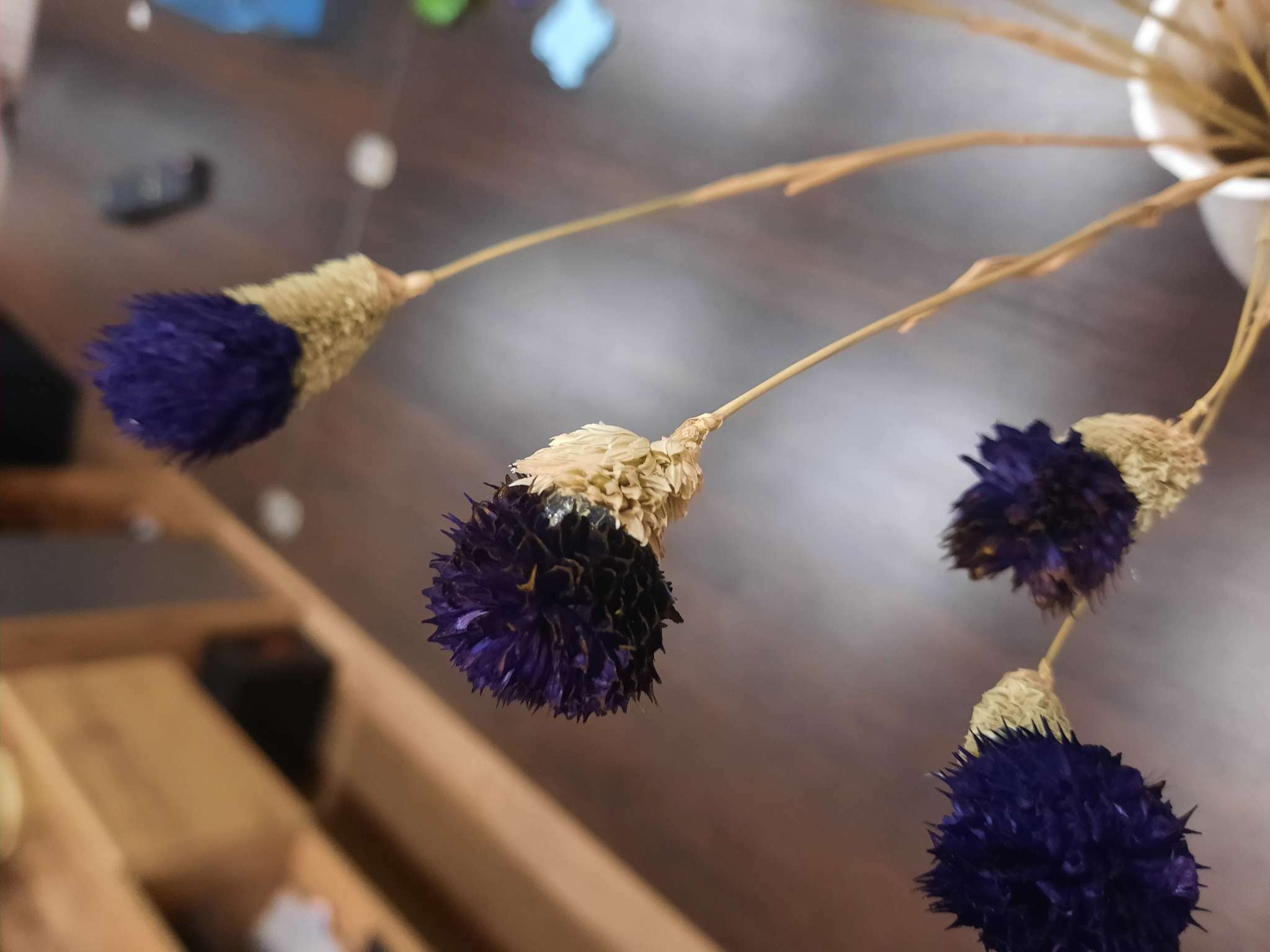 Фотография покупателя товара Сухоцвет «Гомфрена шаровидная» набор 20 шт., цвет тёмно-фиолетовый - Фото 5