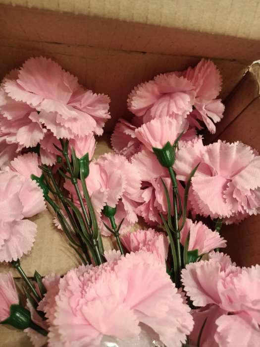 Фотография покупателя товара Цветы искусственные «Гвоздички», 8×67 см, розовые - Фото 5