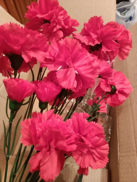 Фотография покупателя товара Цветы искусственные "Гвоздички" 8х67 см, красный - Фото 2
