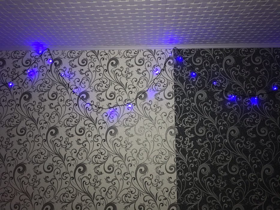 Фотография покупателя товара Гирлянда «Нить» 10 м, IP20, прозрачная нить, 100 LED, свечение фиолетовое, 8 режимов, 220 В - Фото 231