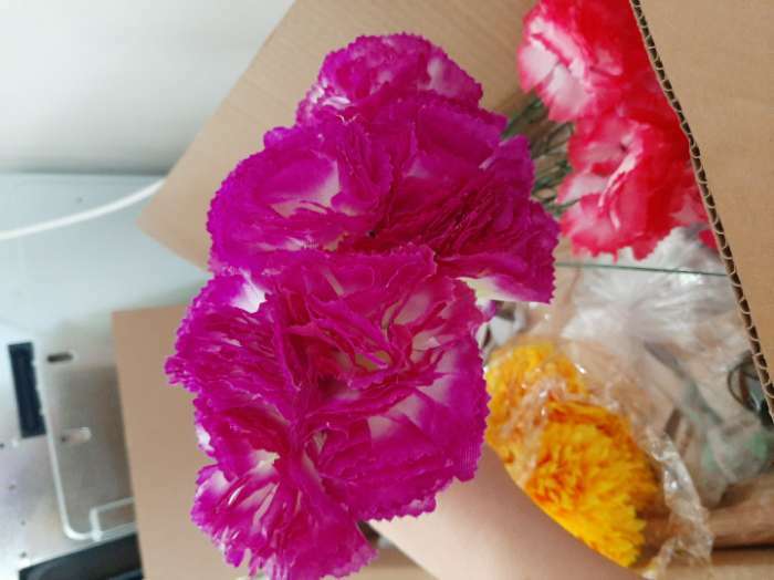 Фотография покупателя товара Цветы искусственные «Гвоздика», h=37 см, красные - Фото 2