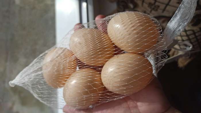 Фотография покупателя товара Яйцо искусственное подкладное, для кур, 4 × 5 см, 1 шт., коричневое - Фото 4