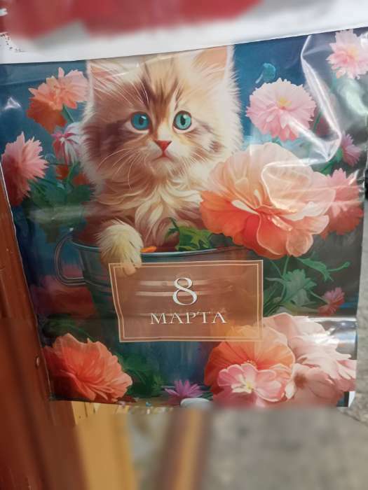 Фотография покупателя товара Пакет подарочный «23 февраля», полиэтиленовый с вырубной ручкой, синий, 30×40 см, 50 мк - Фото 1