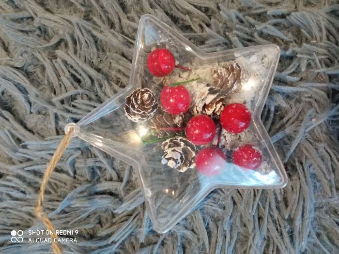 Фотография покупателя товара Новогодняя подвеска с природным декором «Снежная звезда» - Фото 4