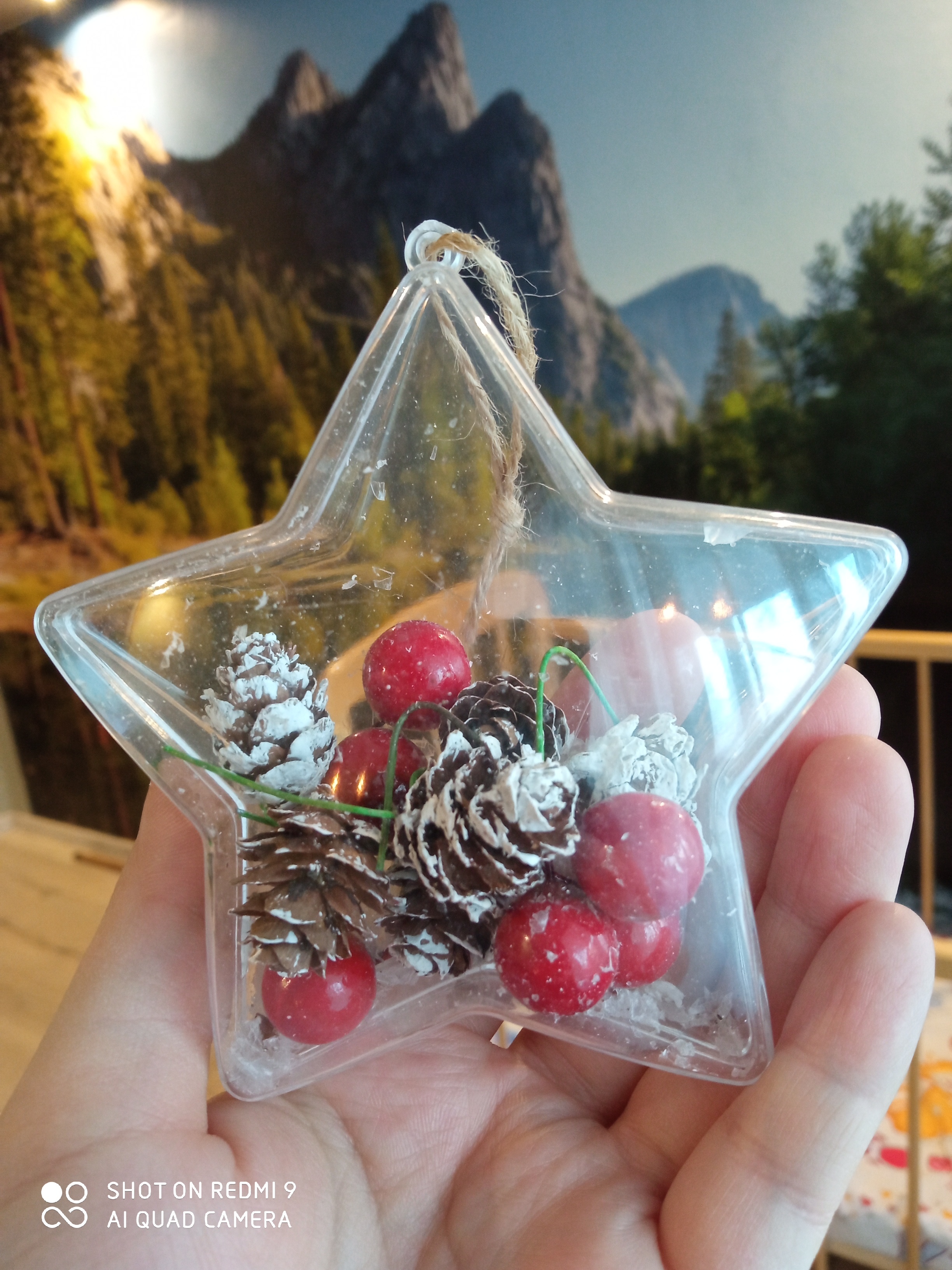 Фотография покупателя товара Новогодняя подвеска с природным декором «Снежная звезда» - Фото 5