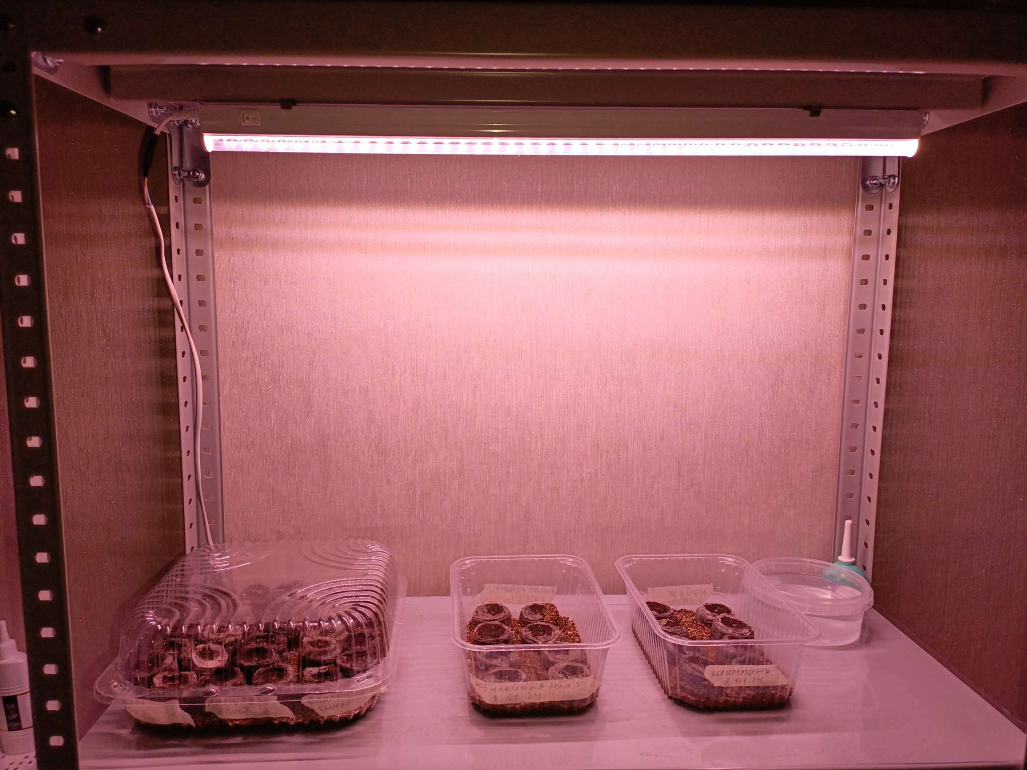 Фотография покупателя товара Фитосветильник для растений Luazon, светодиодный, 14 Вт, 900 мм, IP40, 220 В, полноспектральный - Фото 5