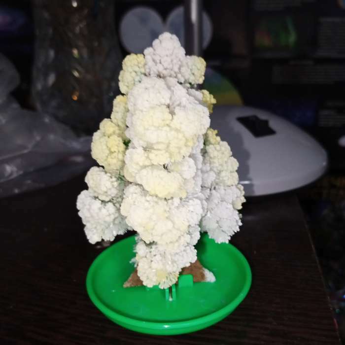 Фотография покупателя товара Набор для выращивания кристалла «Волшебное дерево» цвет зелёный - Фото 1