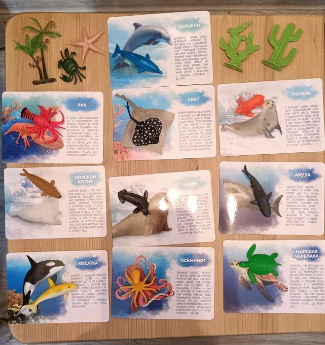 Фотография покупателя товара Набор фигурок животных для детей с обучающими карточками «Подводный мир», карточки, по методике Монтессори - Фото 3