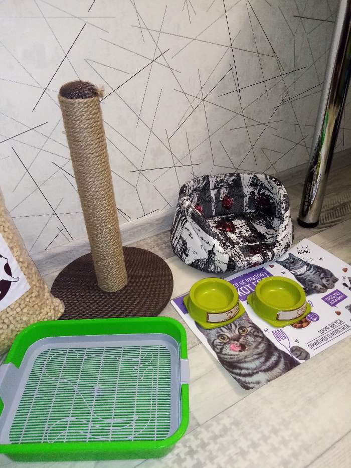 Фотография покупателя товара Туалет "Мур-мяу" для кошек, с сеткой, 33,2 х 25,6 х 7,2 см, зелёный