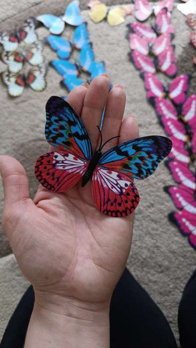 Фотография покупателя товара Магнит пластик "Бабочка светится в темноте" 10 см МИКС - Фото 1