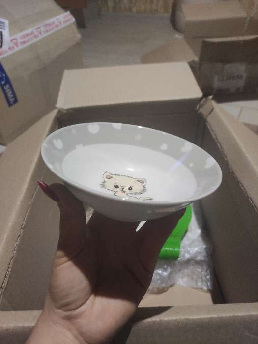 Фотография покупателя товара Тарелка керамическая глубокая Доляна «Котик», 400 мл, d=15 см, цвет белый - Фото 2