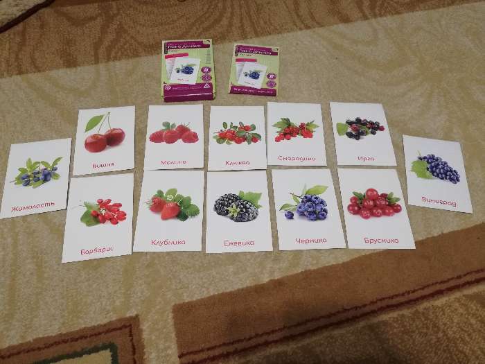Фотография покупателя товара Обучающие карточки по методике Глена Домана «Ягоды», 12 карт, А6, в коробке - Фото 2