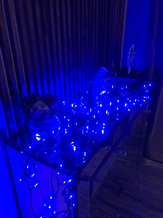 Фотография покупателя товара Гирлянда «Нить» 20 м, IP20, тёмная нить, 200 LED, свечение белое, 8 режимов, 220 В - Фото 228