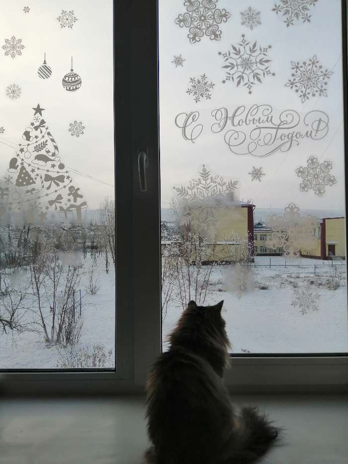 Фотография покупателя товара Наклейка для окон «Снежинки», многоразовая, 50 × 70 см - Фото 11