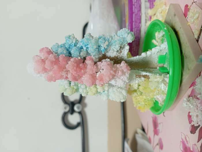 Фотография покупателя товара Набор для выращивания кристалла «Волшебное дерево» цвет разноцветный - Фото 5
