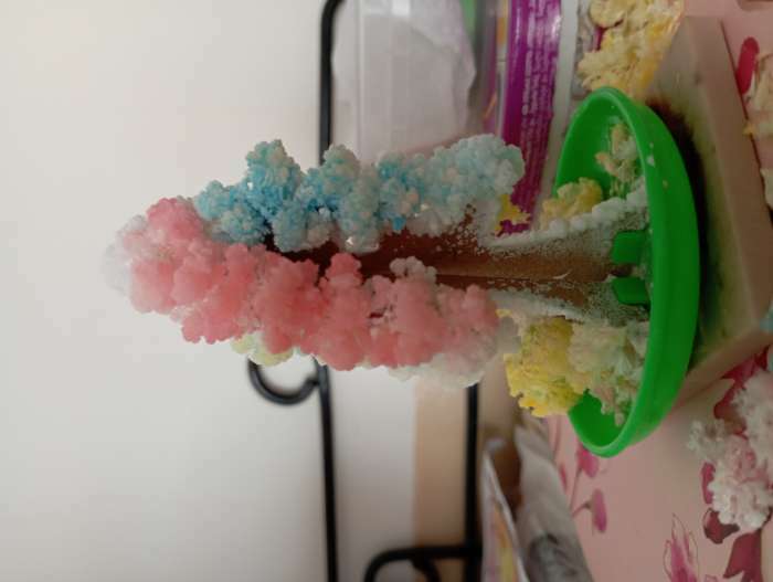 Фотография покупателя товара Набор для выращивания кристалла «Волшебное дерево» цвет разноцветный - Фото 7