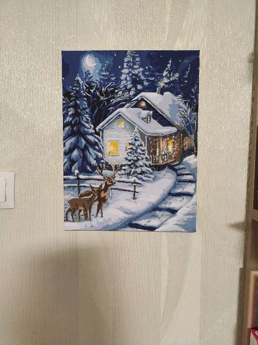Фотография покупателя товара Картина по номерам на холсте с подрамником «Зимняя ночь» 30×40 см - Фото 4