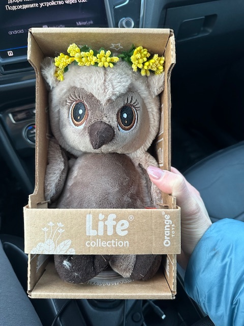 Фотография покупателя товара Мягкая игрушка «Сова Соня: Ясное утро», 20 см - Фото 2