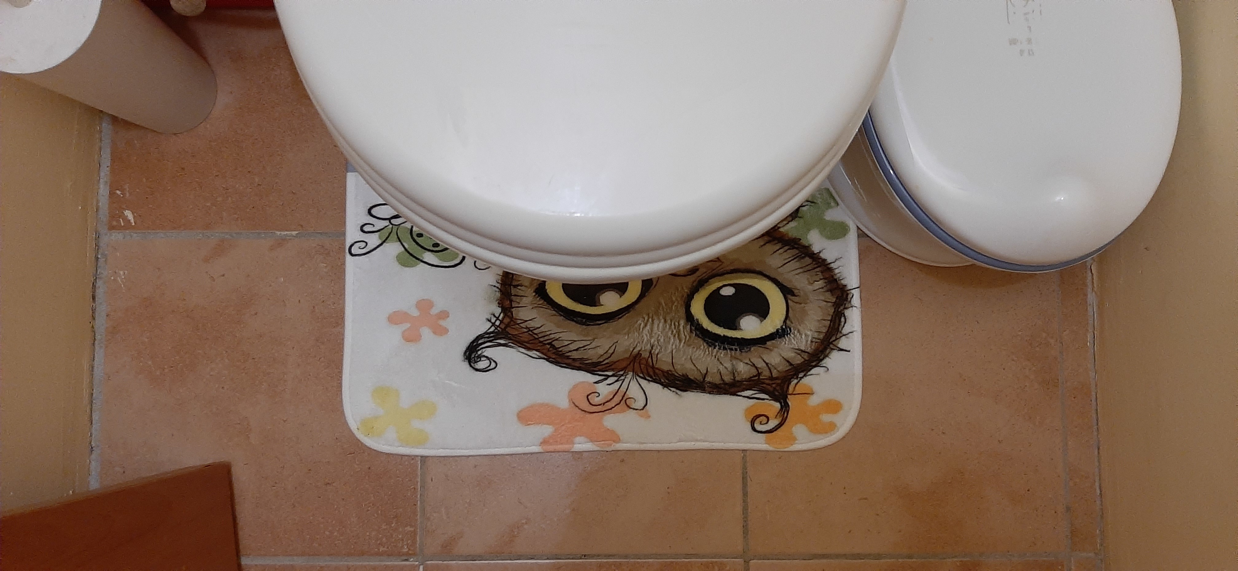 Фотография покупателя товара Коврики для ванной и туалета Доляна «Совушки парочка», 2 шт: 40×50 см, 50×80 см