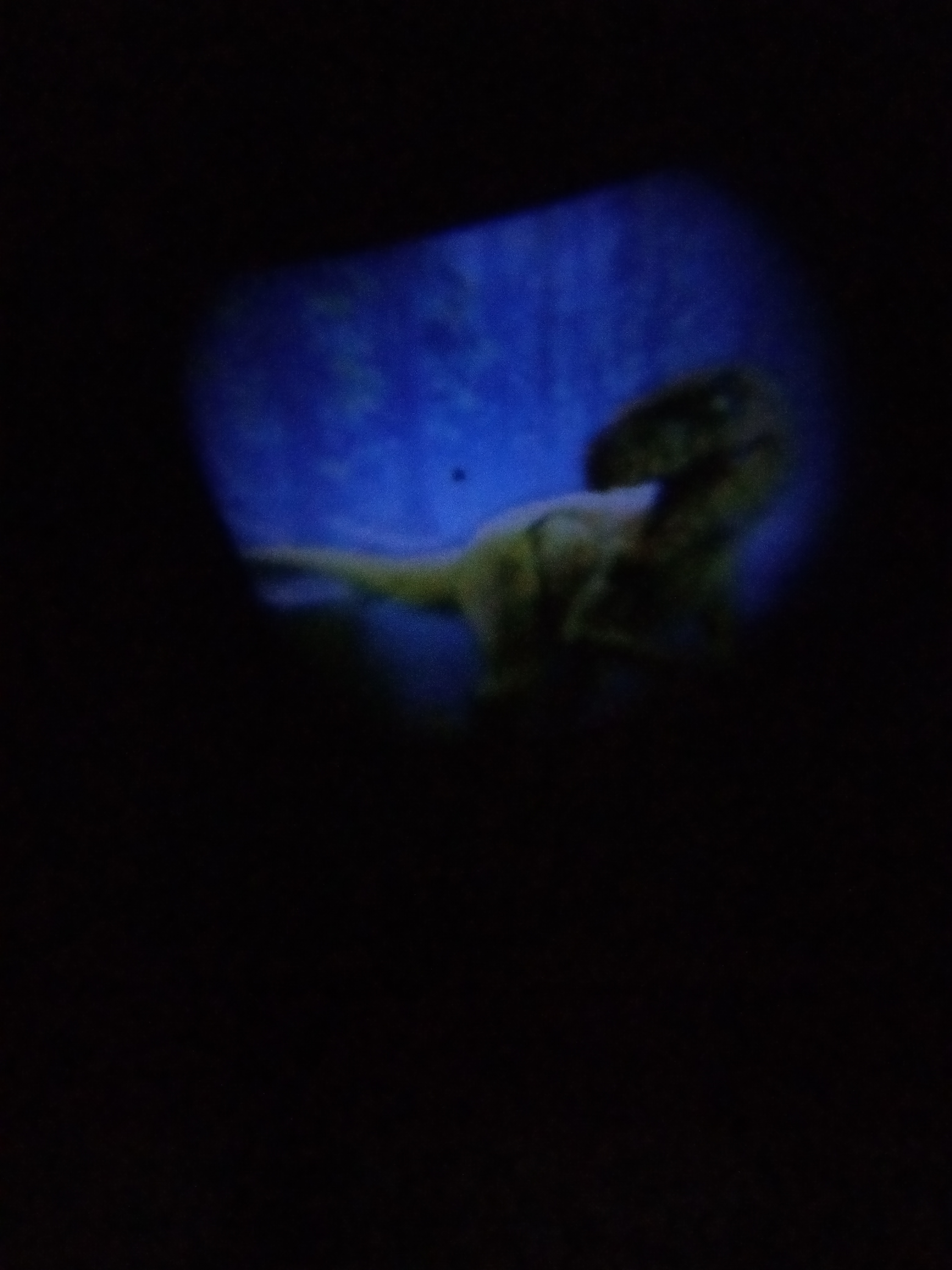 Фотография покупателя товара Проектор-фонарик «Эра динозавров», свет, цвета МИКС - Фото 16