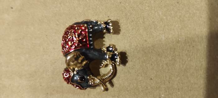 Фотография покупателя товара Брошь «Слон индийский», цвет красно-серый в золоте - Фото 3