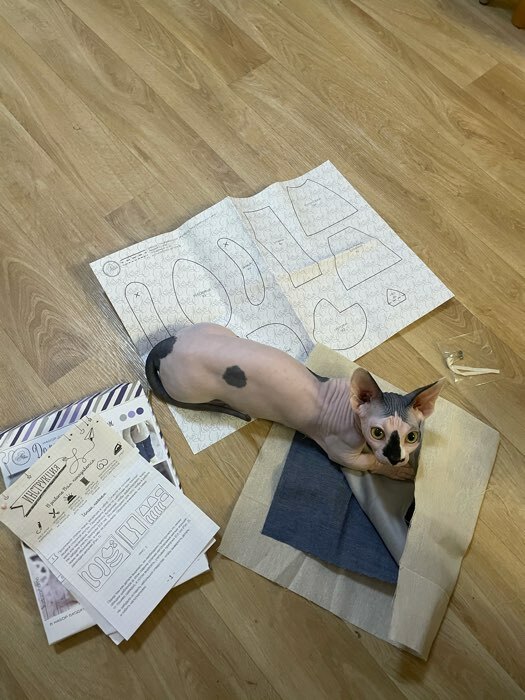 Фотография покупателя товара Мягкая игрушка «Домашний кот Элиот», набор для шитья, 18 × 22 × 3.6 см - Фото 2