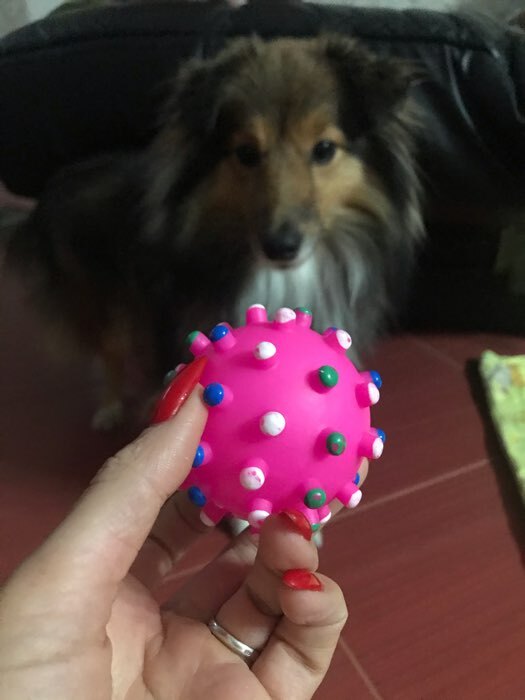 Фотография покупателя товара Игрушка пищащая "Бактерия" для собак, 6,3 см, микс - Фото 1