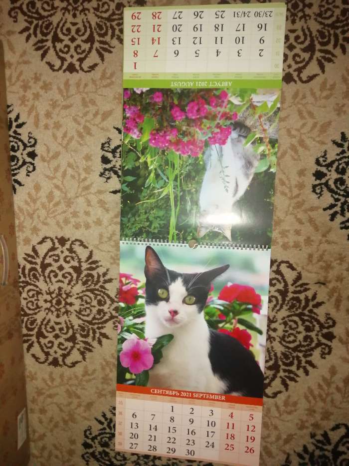 Фотография покупателя товара Календарь перекидной на ригеле "Кошки на даче" 2021 год, 320х480 мм - Фото 2