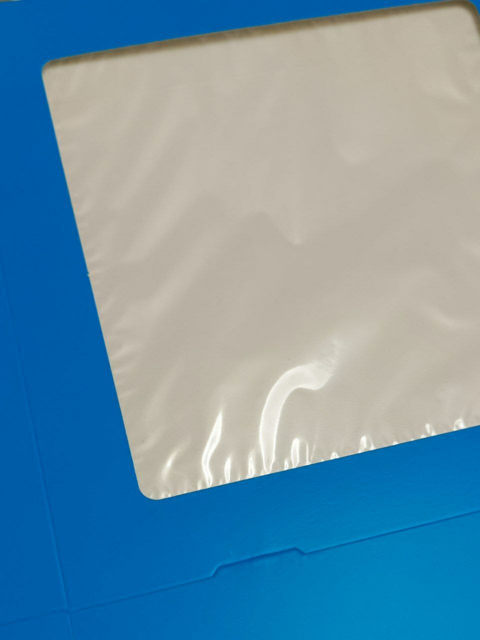 Фотография покупателя товара Контейнер на вынос, голубой, 20 х 20 х 4 см