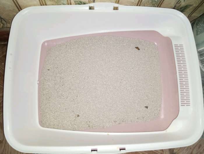 Фотография покупателя товара Лоток для кошек совок+ сетка 50,5 х 39 х 23 см, розовый