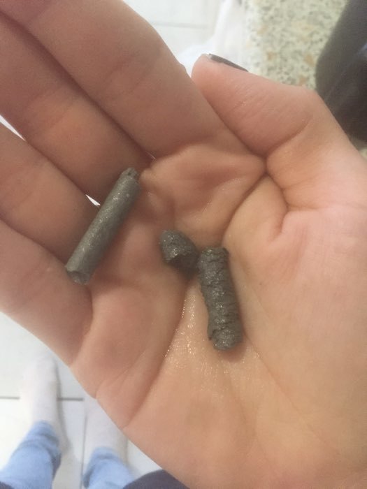 Фотография покупателя товара Наполнитель бумажный "Пижон", 10 л - Фото 1