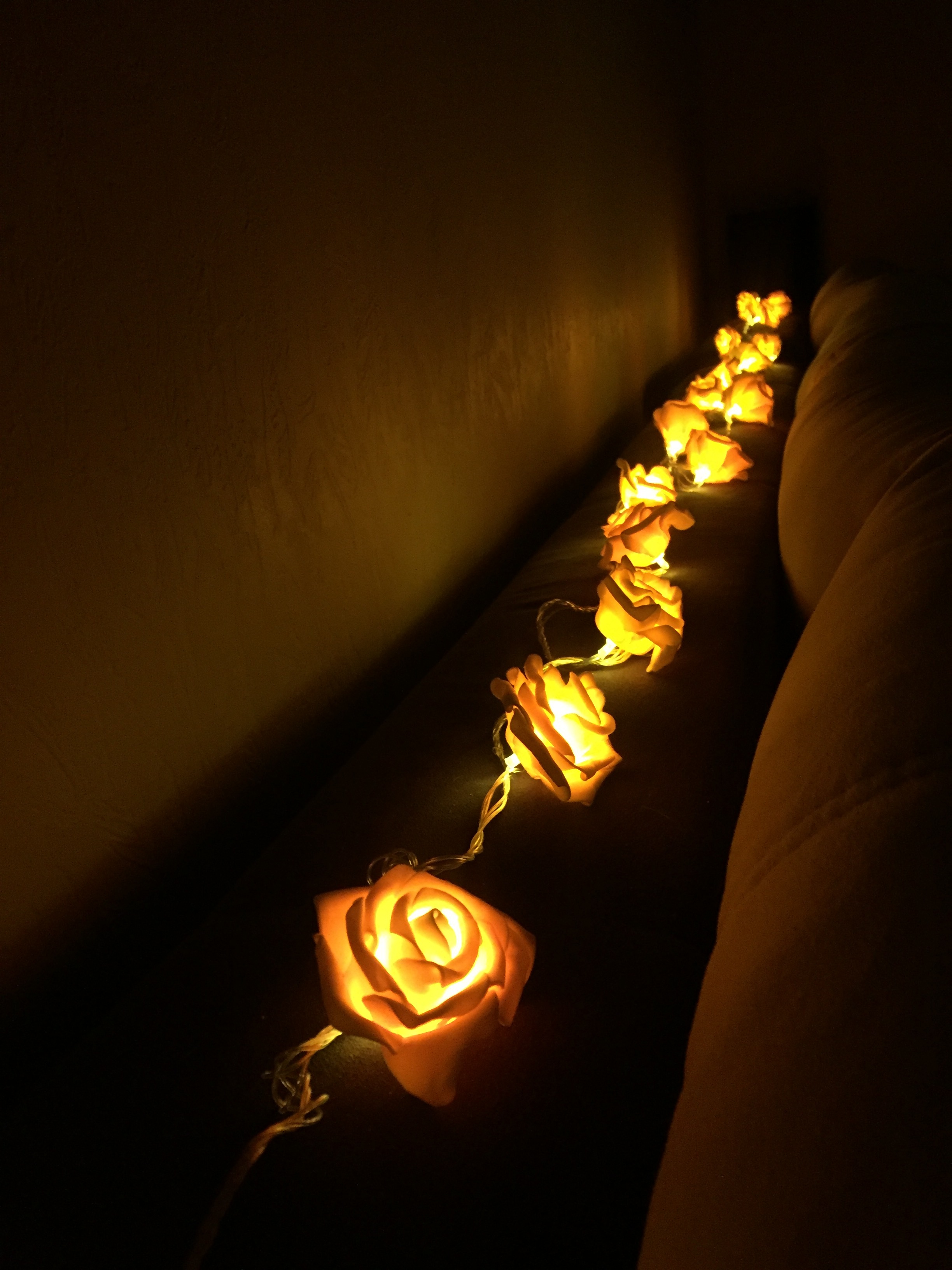 Фотография покупателя товара Гирлянда «Нить» 5 м с насадками «Розы оранжевые», IP20, прозрачная нить, 20 LED, свечение тёплое белое, 220 В - Фото 6