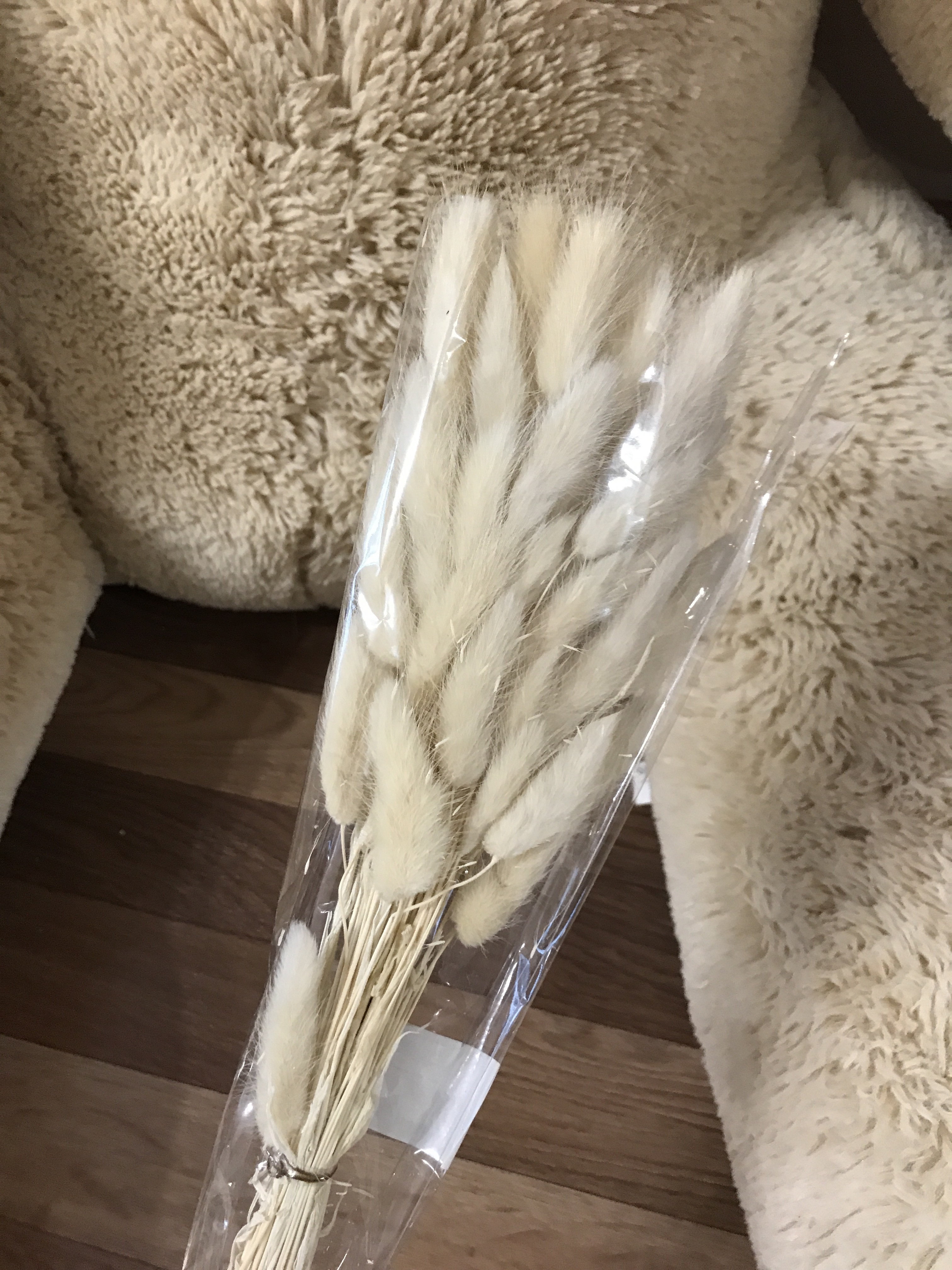 Фотография покупателя товара Сухие цветы лагуруса, набор: max 60 шт., цвет белый - Фото 7