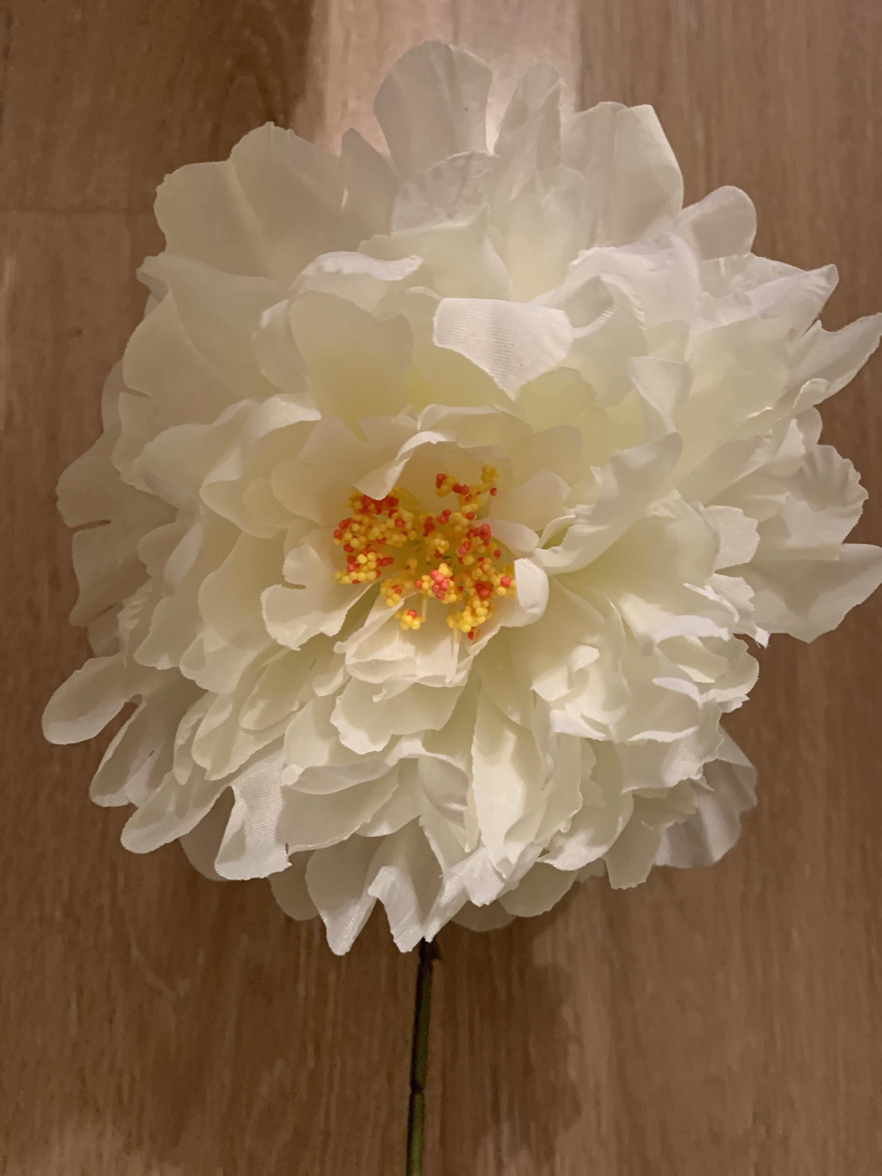 Фотография покупателя товара Цветы искусственные "Пион бархатный" 15х55 см, белый