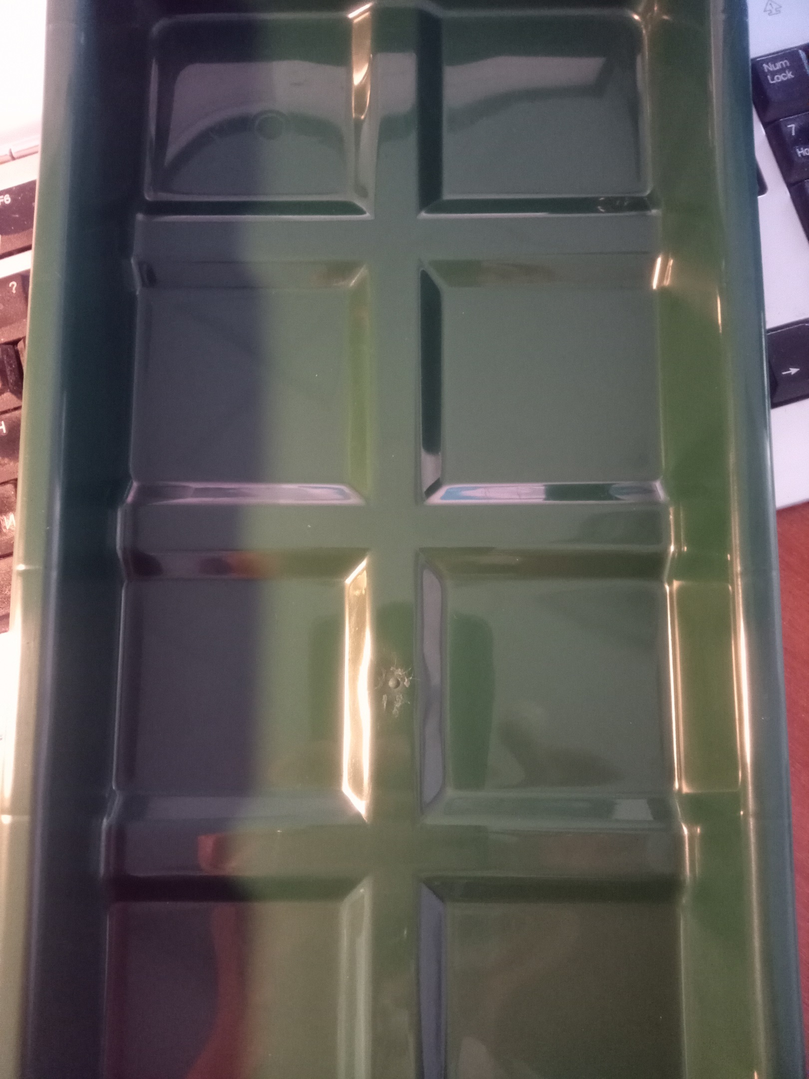 Фотография покупателя товара Набор для рассады: стаканы по 300 мл (10 шт.), поддон 41 × 17 см, цвет МИКС