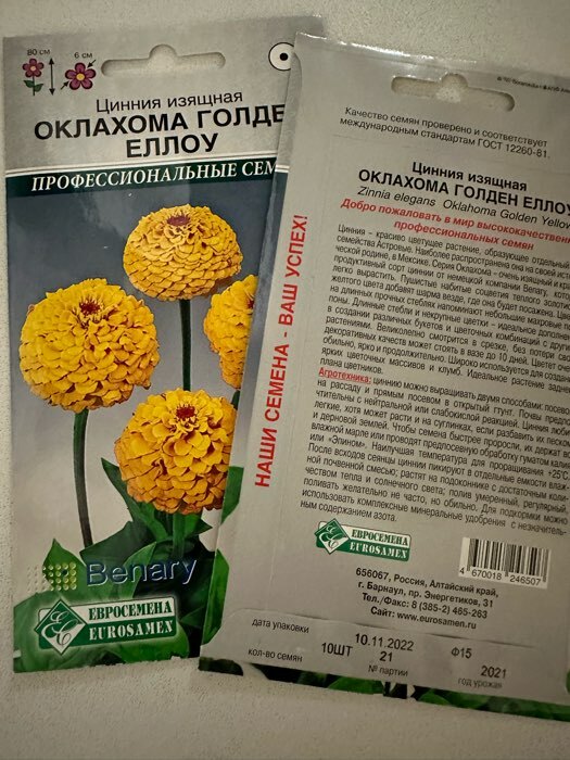Фотография покупателя товара Семена Цветов Цинния изящная Оклахома Голден Еллоу, 10 шт - Фото 3