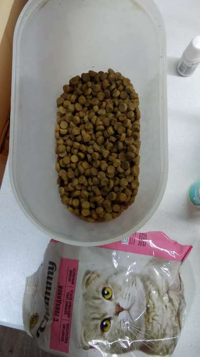 Фотография покупателя товара Сухой корм Chammy для кошек, говядина, 350 г - Фото 2