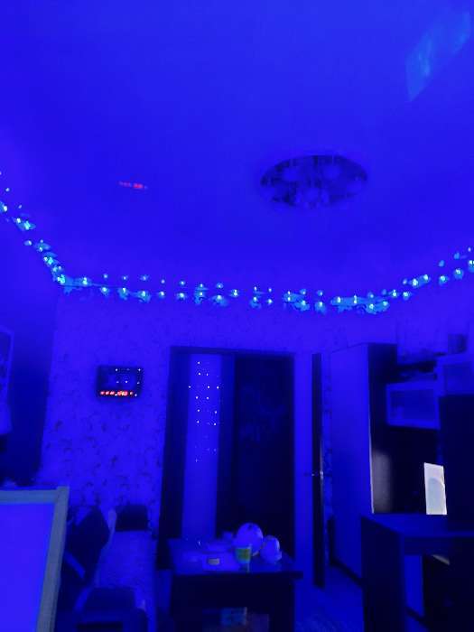 Фотография покупателя товара Гирлянда «Нить» 20 м, IP20, тёмная нить, 200 LED, свечение синее, 8 режимов, 220 В - Фото 222