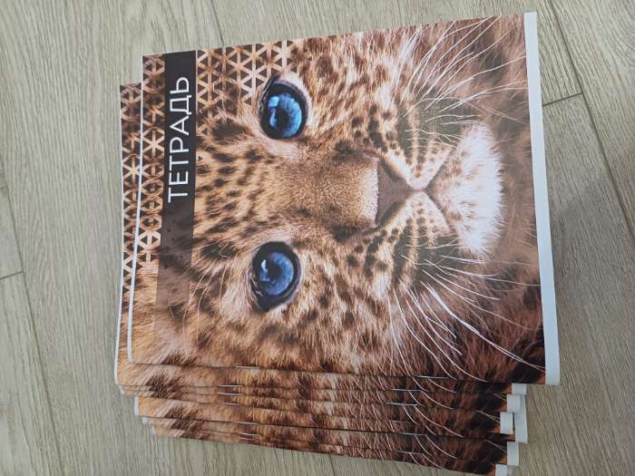 Фотография покупателя товара Тетрадь 48 листов в клетку Calligrata "Дикие кошки", обложка мелованная бумага, блок №2, МИКС - Фото 3
