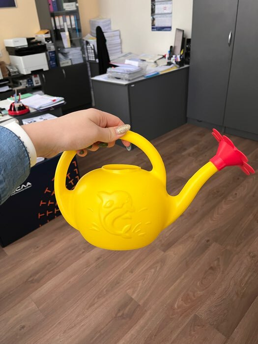 Фотография покупателя товара Лейка, 1.5 л, с рассеивателем, цвет МИКС, «Ромашка»