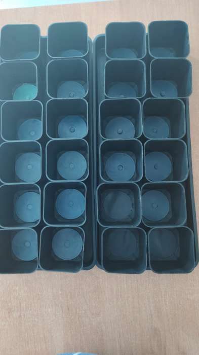 Фотография покупателя товара Набор для рассады: стаканы по 700 мл (10 шт.), поддон 44 × 18 см, чёрный, Greengo - Фото 40