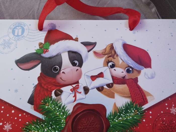 Фотография покупателя товара Пакет ламинированный горизонтальный «Новогодняя посылка», ML 27 × 23 × 11,5 см - Фото 2