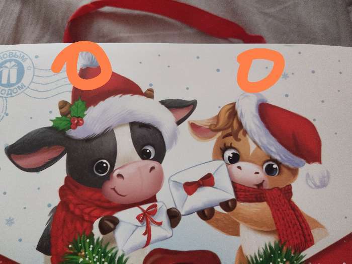 Фотография покупателя товара Пакет ламинированный горизонтальный «Новогодняя посылка», ML 27 × 23 × 11,5 см - Фото 1