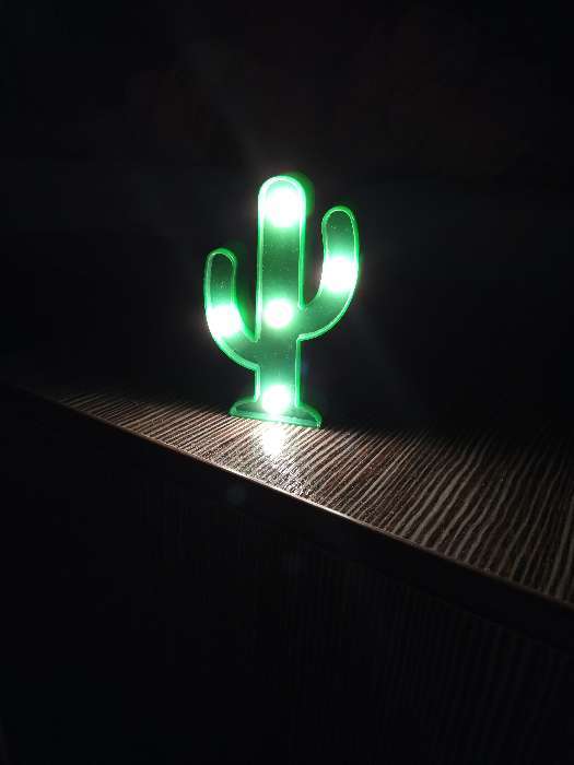 Фотография покупателя товара Ночник "Кактус малый" 5 LED батарейки 3xAАА зеленый 7,5х3х12 см. - Фото 2