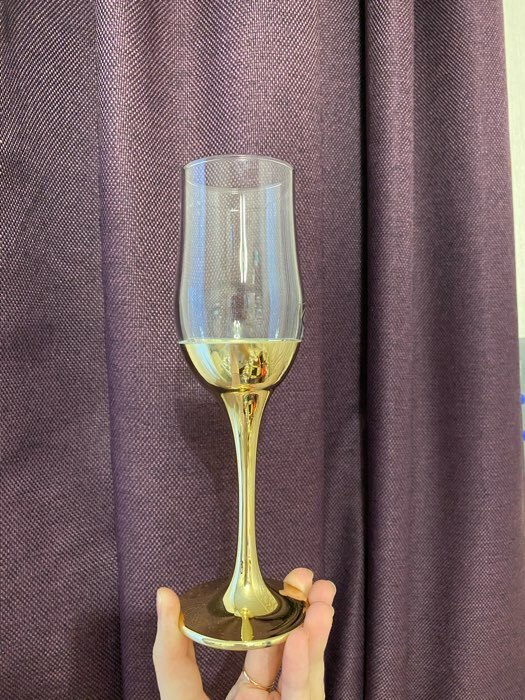 Фотография покупателя товара Набор бокалов для шампанского «Поло», 200 мл, 6 шт, цвет золотой - Фото 1