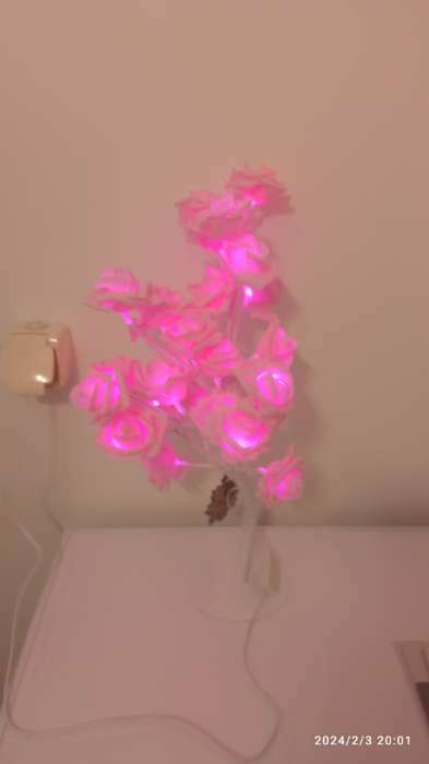 Фотография покупателя товара Светодиодный куст «Розы розовые» 45 см, 24 LED, постоянное свечение, 220 В, свечение тёплое белое - Фото 2